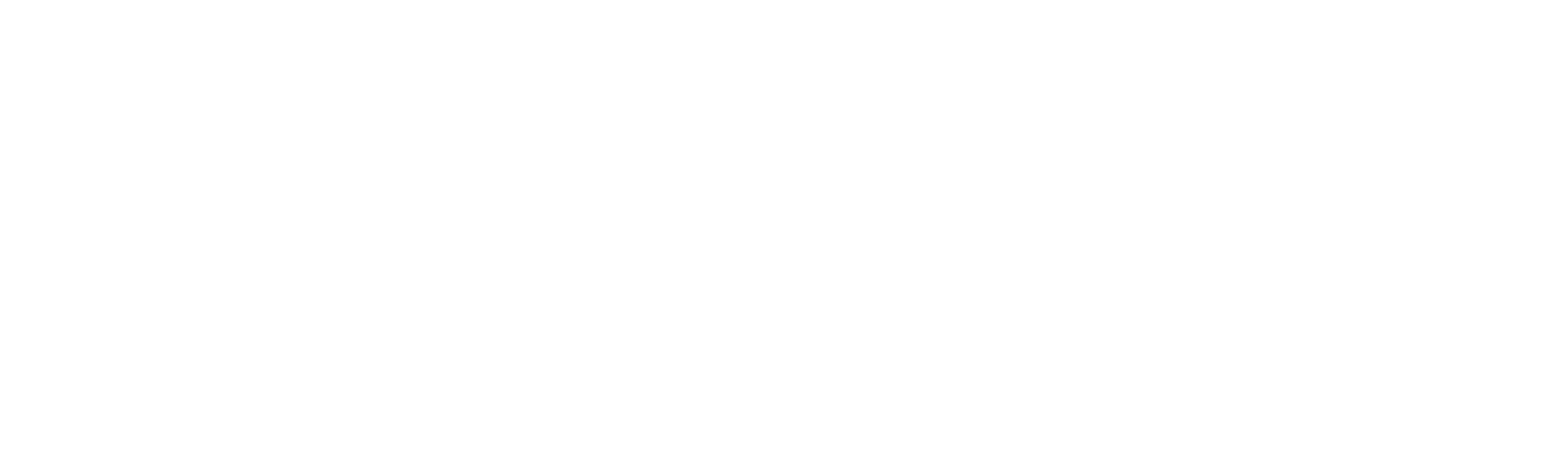 太陽の王様